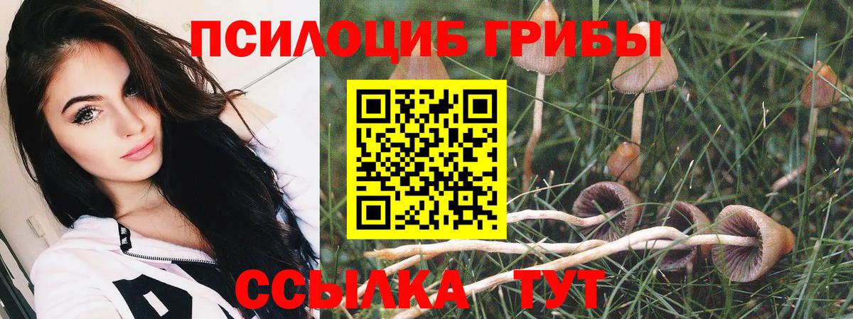 Сорочинск  Галлюциногенные грибы Magic Shrooms  Вход с VPN  Галлюциногенные грибы Psilocybe 